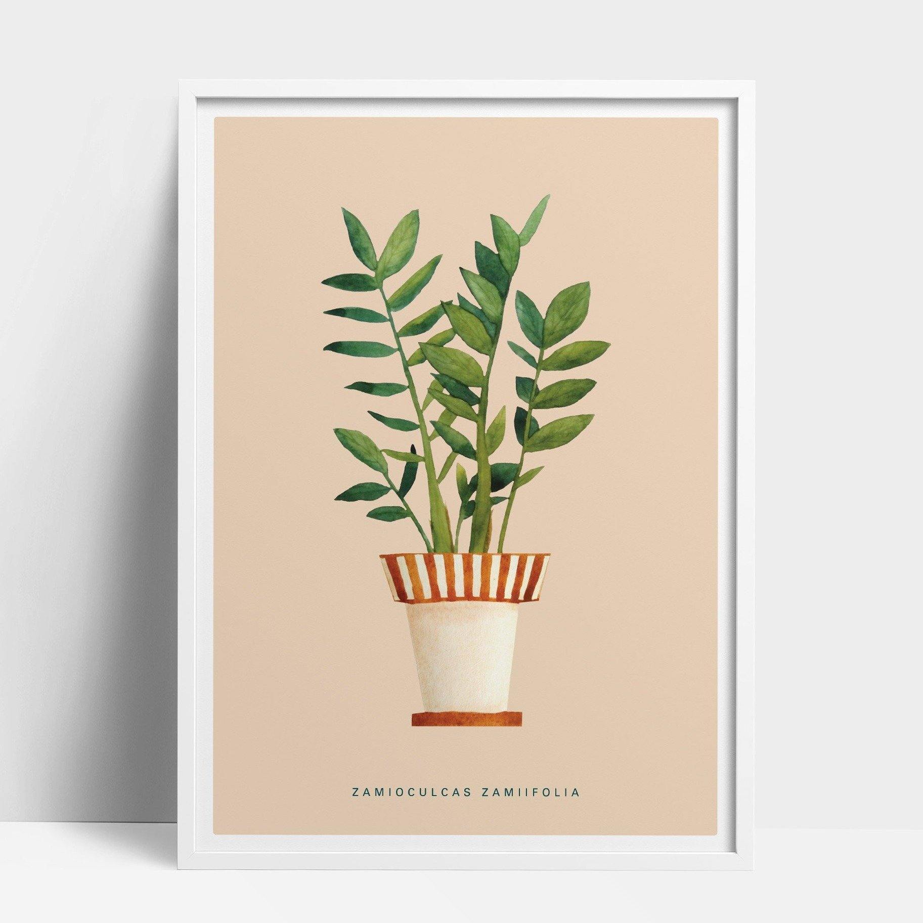 zz plant watercolor Zamioculcas Zamiifolia Poster, Plant Lover, Botanical Print, House Plant Illustration, ZZ Illustration