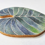 Buy Online Premium Quality Wood Leaf Costers for Plant Lover And Nature Lover - Plant Lady Gift – Set of 6 Leaf Coasters – Begonia Maculata – Plant Coasters, Monstera home accessory, Urban Jungle Life 