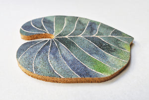 Buy Online Premium Quality Wood Leaf Costers for Plant Lover And Nature Lover - Plant Lady Gift – Set of 6 Leaf Coasters – Begonia Maculata – Plant Coasters, Monstera home accessory, Urban Jungle Life 