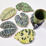 Buy Online Premium Quality Wood Leaf Costers for Plant Lover And Nature Lover - Plant Lady Gift – Set of 6 Leaf Coasters – Begonia Maculata – Plant Coasters, Monstera home accessory, Urban Jungle Life 