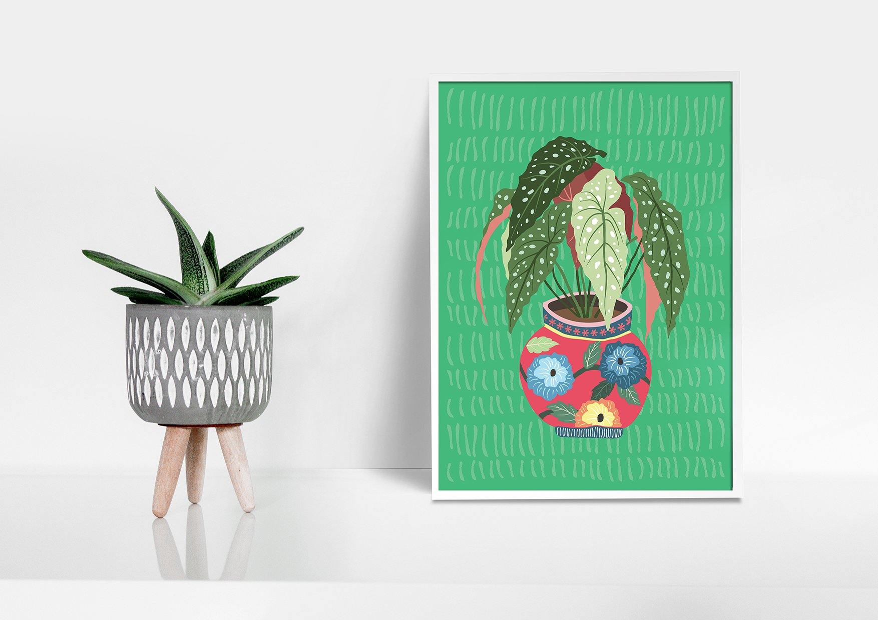 Buy online Premium Quality Begonia Maculata Art Print - Urban Jungle Life