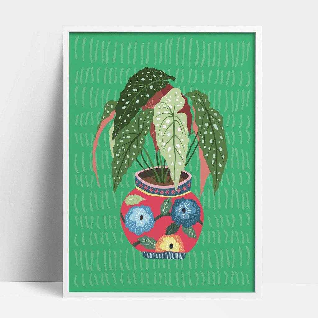 Buy online Premium Quality Begonia Maculata Art Print - Urban Jungle Life