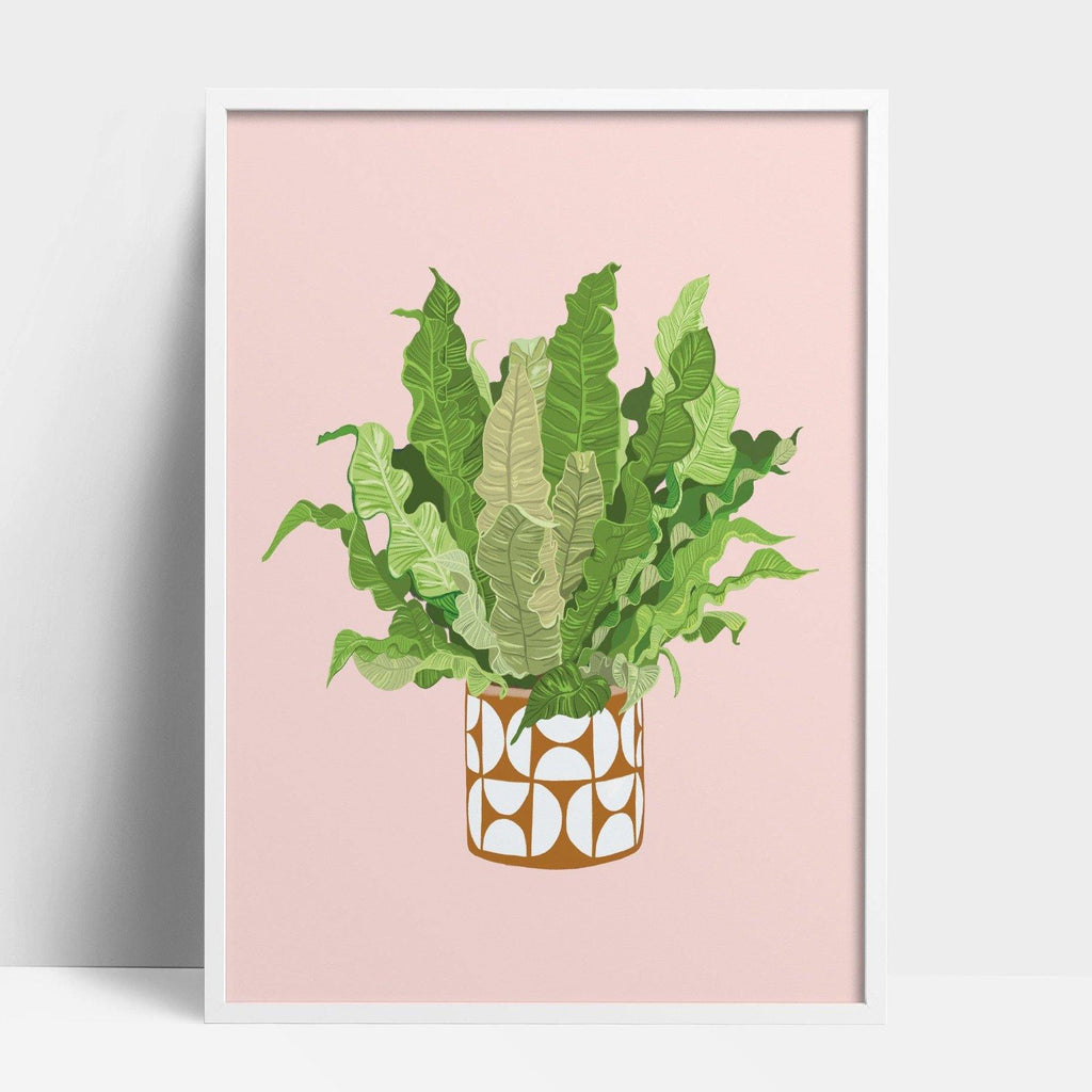 Buy online Premium Quality Asplenium Nidus Art Print - Urban Jungle Life