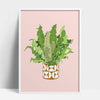 Buy online Premium Quality Asplenium Nidus Art Print - Urban Jungle Life