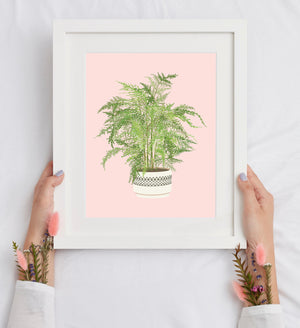 Buy online Premium Quality Asparagus Fern Art Print - Urban Jungle Life