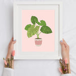 Buy online Premium Quality Colocasia on Pink Art Print - Urban Jungle Life