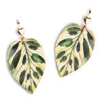Buy Online Premium Quality Plant Earrings For Plant Lover and Nature Lovers - Plant Lady Gift - Calathea Earrings, Hypoallergenic Ecological Earrings, Urban Jungle Life