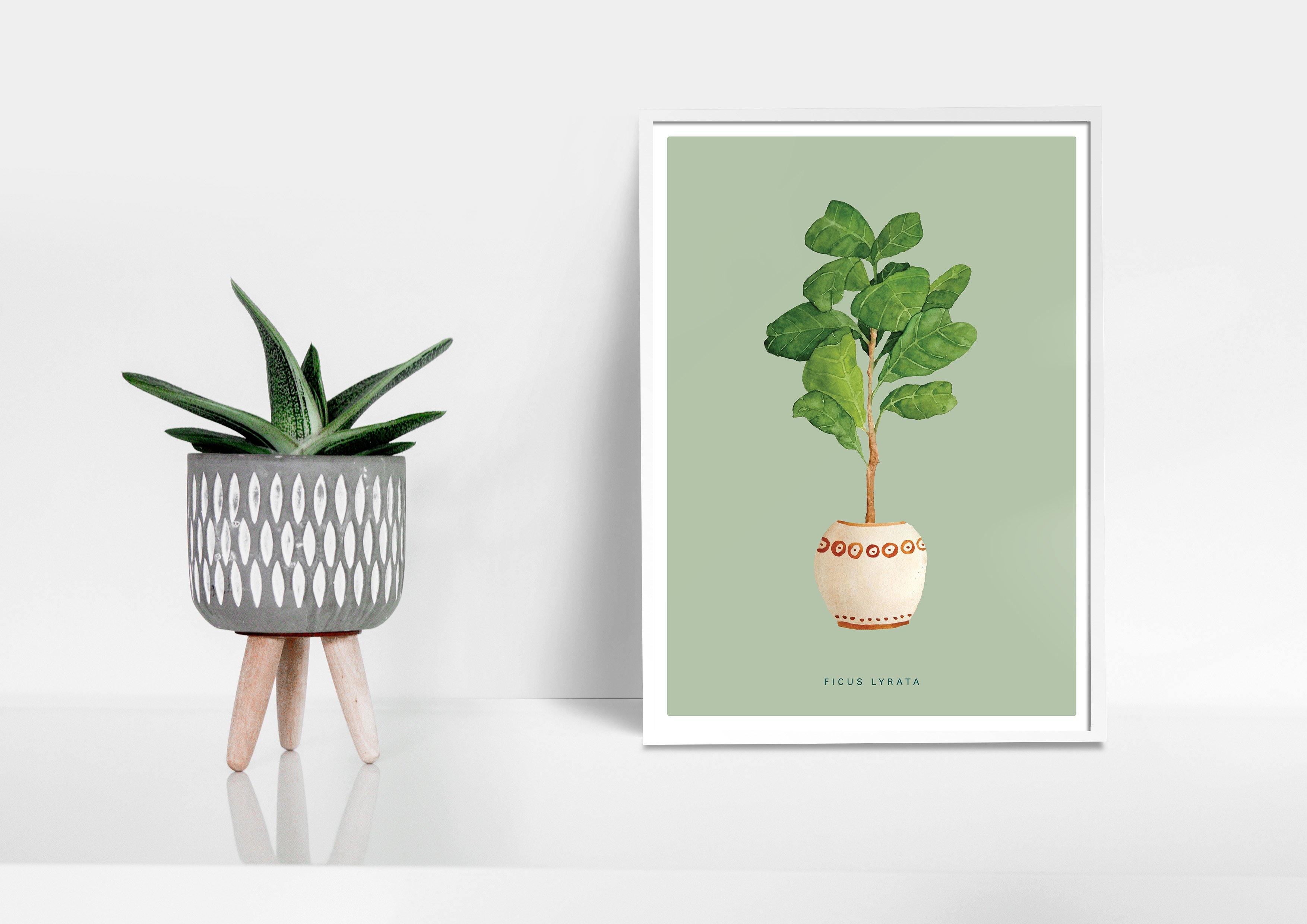 Buy online Premium Quality Ficus Lyrata Watercolor Art Print - Urban Jungle Life