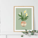 Buy online Premium Quality Peace Lilies Watercolor Art Print - Urban Jungle Life